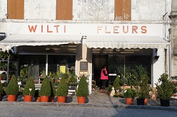 wilti flowers 1